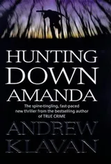 Cover of Hunting down Amanda