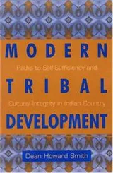 Cover of Modern Tribal Development