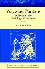 Cover of Wayward Puritans