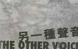 Cover of Other Voice