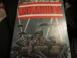 Cover of Skyraiders