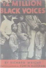 Cover of 12 million black voices