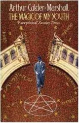 Cover of The magic of my youth