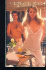 Cover of Christina's Temptation