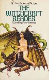 Cover of The witchcraft reader