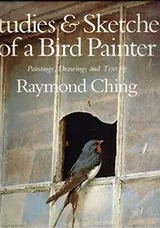 Cover of Studies & sketches of a bird painter