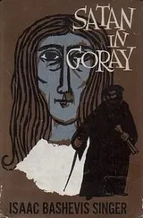 Cover of Satan in Goray