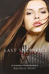 Cover of Last Sacrifice