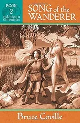 Cover of SONG OF THE WANDERER
