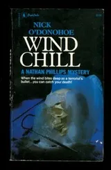 Cover of Wind Chill (A Nathan Phillips Mystery)