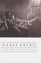 Cover of For the Love of Willie