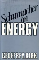Cover of Schumacher on energy