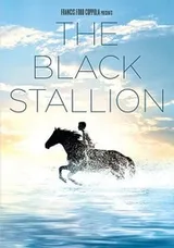Cover of Black Stallion, The