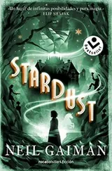 Cover of Stardust