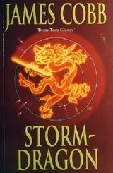 Cover of Stormdragon
