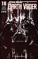 Cover of Star Wars Darth Vader nº 16/25