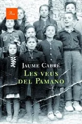 Cover of Les veus del Pamano