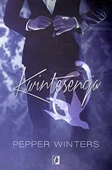 Cover of Potwory z ciemnosci Tom 2 Kwintesencja Q Potwory z ciemnosci. Tom 2