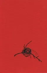 Cover of Route 2
