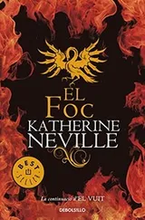 Cover of El foc