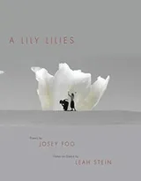Cover of Lily Lilies