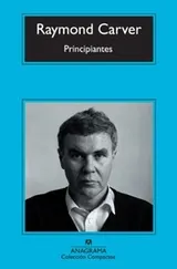 Cover of Principiantes
