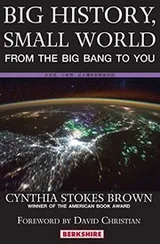 Cover of Big History, Small World