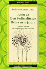 Cover of Amor de Don Perlimplín con Belisa en su jardín