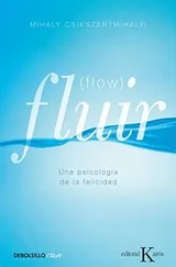Cover of Fluir