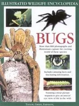 Cover of Big bug book