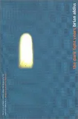 Cover of Dark Light Years