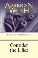 Cover of Consider the lilies