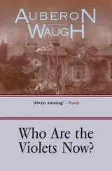 Cover of Who are the violets now?