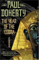 Cover of The Year of the Cobra