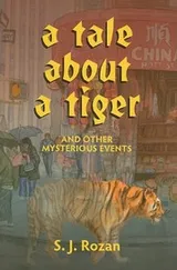 Cover of A tale about a tiger