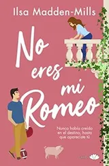 Cover of Not My Romeo