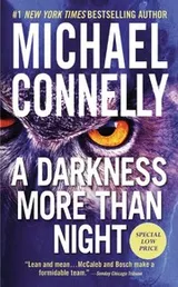 Cover of Darkness More Than Night