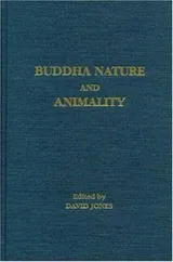 Cover of Buddha nature animality