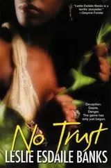 Cover of No Trust