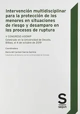 Cover of Intervención multidisciplinar para la protección de los menores en situaciones de riesgo y desamparo en los procesos de ruptura
