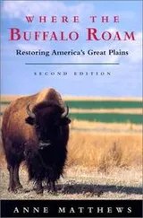 Cover of Where the Buffalo Roam