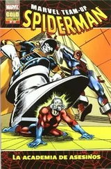 Cover of Spiderman 12. Marvel Team-Up
