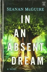 Cover of In an Absent Dream