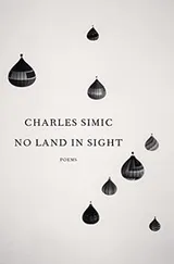 Cover of No Land in Sight