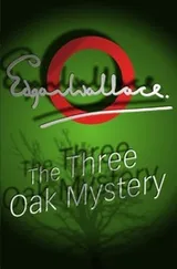 Cover of The Three Oak Mystery