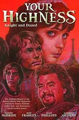 Cover of Your Highness
