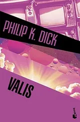 Cover of Valis