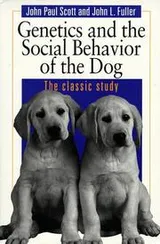 Cover of Dog behavior