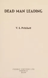 Cover of Dead man leading
