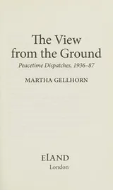 Cover of View from the Ground